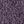 Orchid Purple
