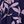 Navy Pink Flower