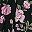 Pink Flower