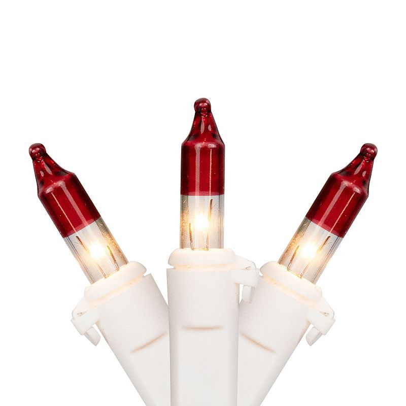 Northlight Tips & White Wire 20.25-ft. Mini Christmas Lights
