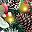 Green Red