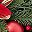 Red Green Gold