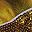 Gold Tone