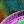 Multicolored