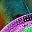 Multicolored