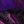 Purple Black
