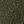 Armygreen