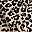 Leopard Print Off