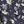 Navy Floral