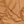 Rust