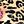 Floral Leopard