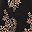 Black Paisley