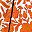 Orange Floral
