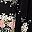 Black Floral