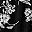 Black White