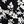 Black White