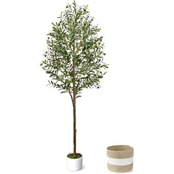 6FT Artificial Olive Tree - Indoor Tall Faux Olive Trees with Planter&Basket