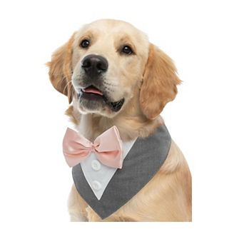 Adjustable Dog Bandana