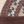 Nordic Brown