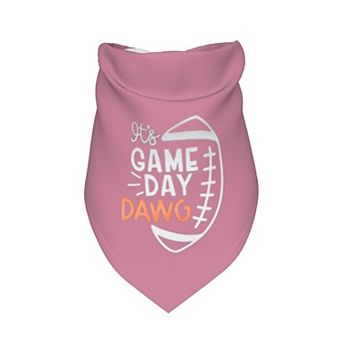 Reversible Fall Pet Bandana