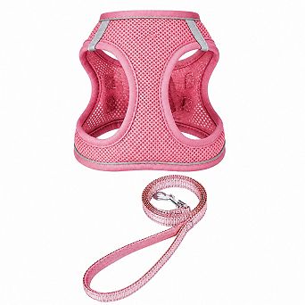 Puppy Harness and Leash Set
