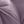 Dusty Purple