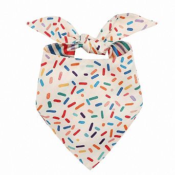 Medium Dog Birthday Bandana