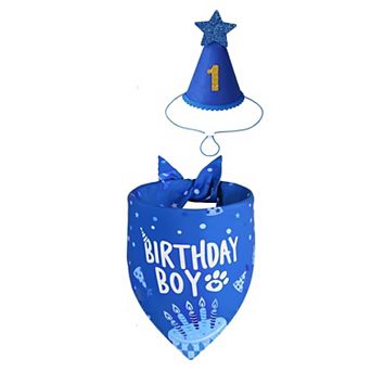 Dog Birthday Hat Bandana