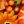 Orange Brown