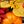 Orange Cream Yellow