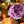 Orange Purple