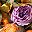 Orange Purple