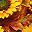 Yellow Brown Green