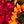 Orange Yellow Red