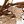 Burlap White