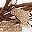 Burlap White