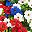 Red White Blue