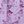 Purple Pink Flower