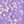 Purple White Flower