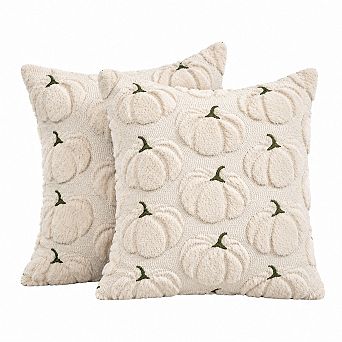 Set of 2 Fall Pumpkin Pillow Covers Plush Decorative Throw