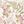 Beige Pink