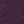Flower Purple