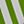 White And Green
