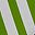 White And Green
