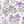 Purple White