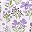 Purple White