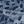 Blue Leopard