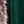 Green Grey