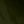 Armygreen