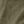 Armygreen